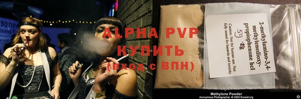 стаф Каменногорск