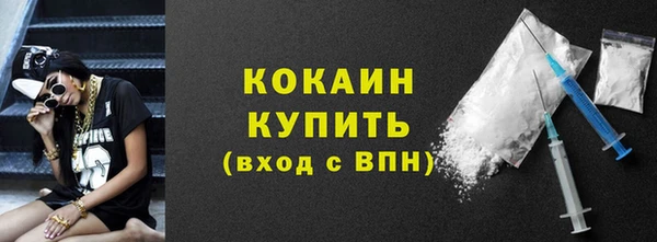 стаф Каменногорск