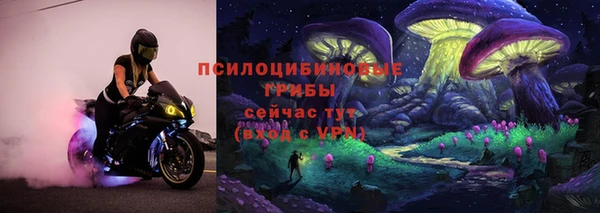 стаф Каменногорск