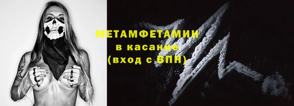 стаф Каменногорск