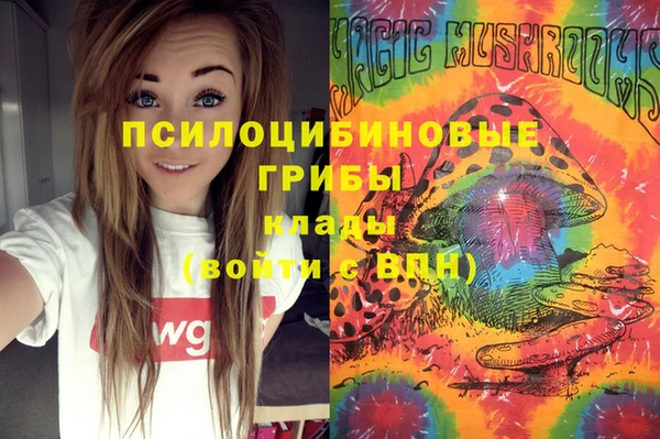 2c-b Каменск-Шахтинский