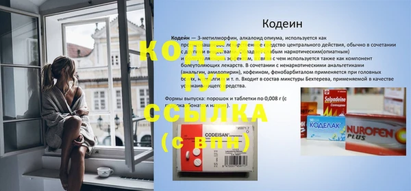 стаф Каменногорск