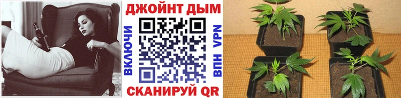 Канабис Amnesia  Купить где  Салехард 